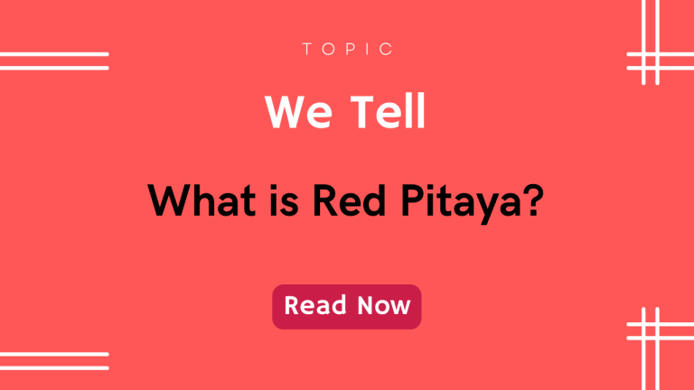 What is Red Pitaya?